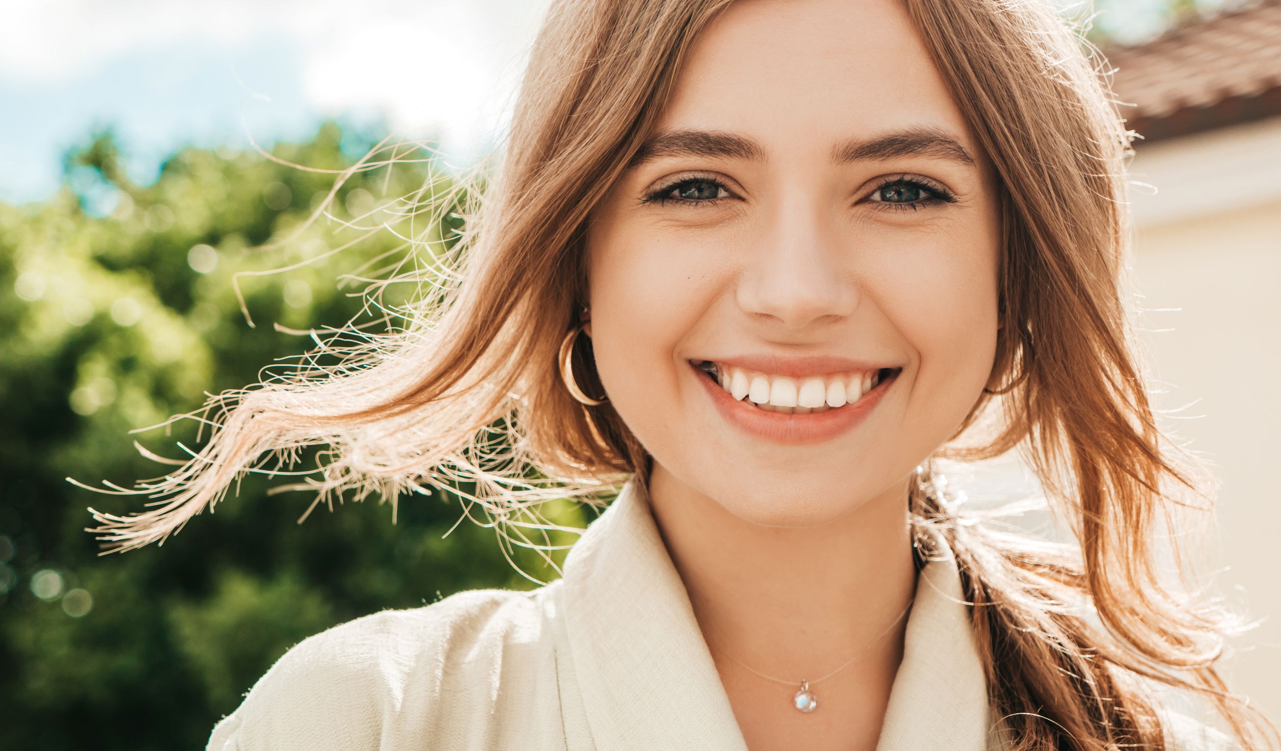 Dental Crowns